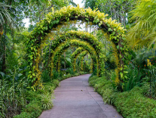 botanical-garden-malaga