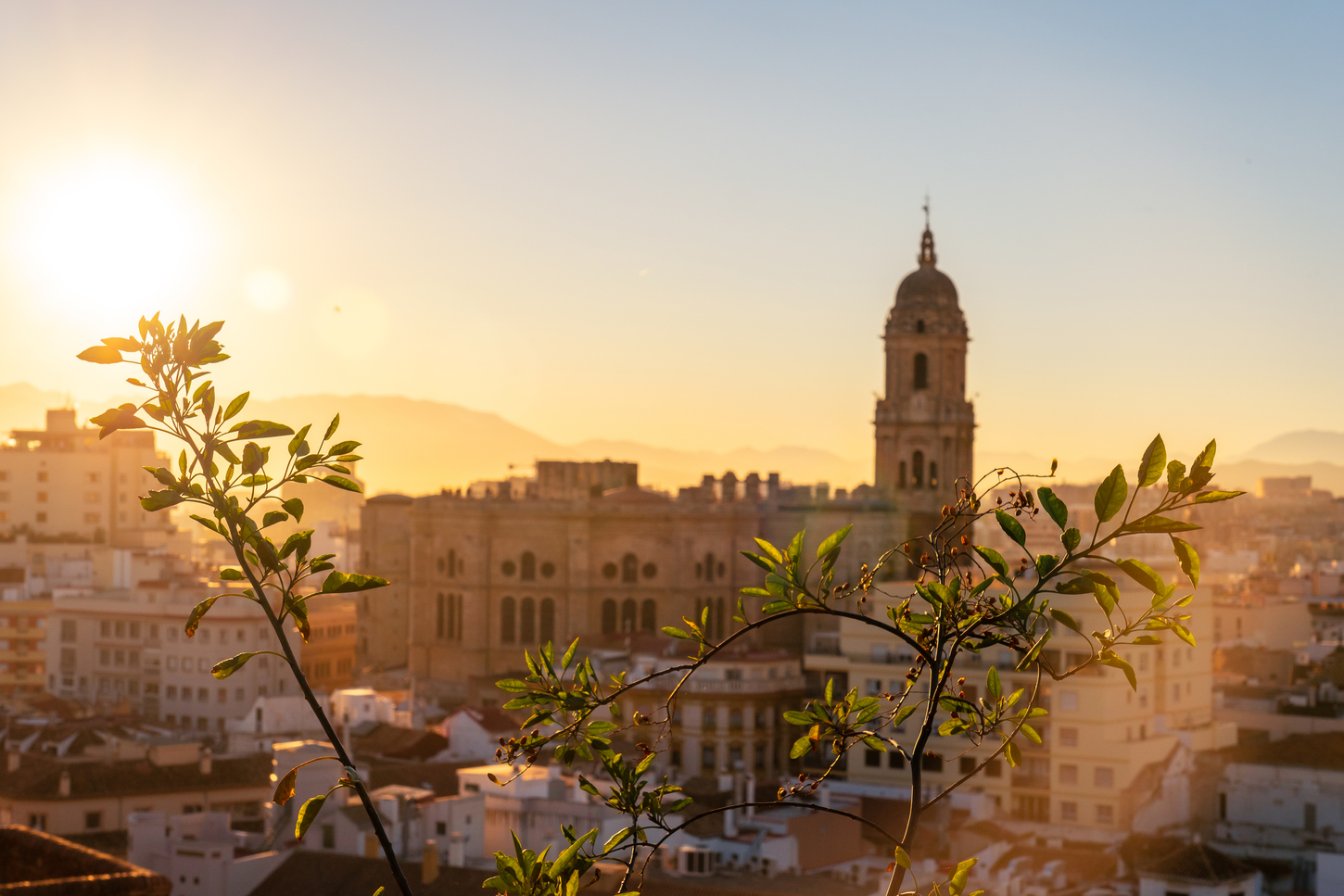 Málaga City